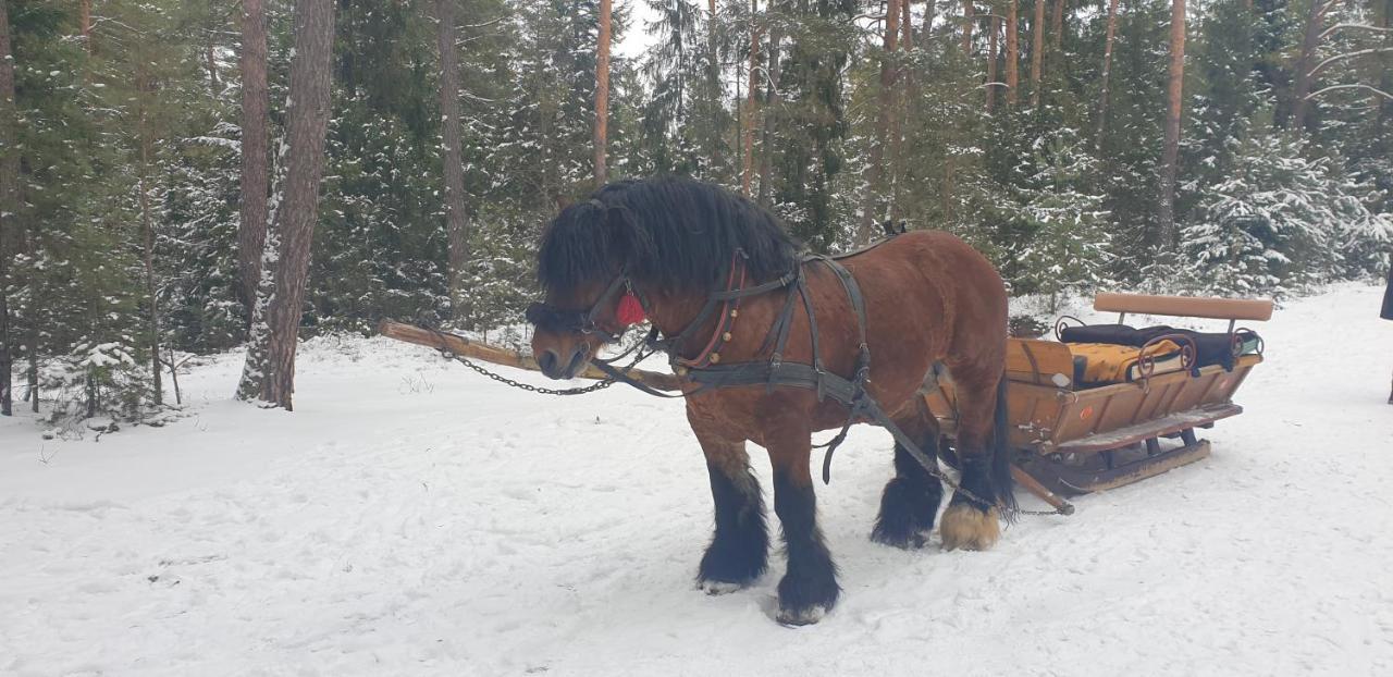 Jodłowe Chaty Adamow  Zewnętrze zdjęcie